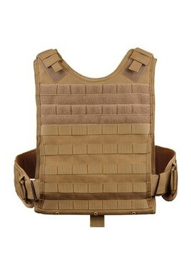 SAFEGUARD PLATE CARRIER SER. 1 LIIVI TAN, L