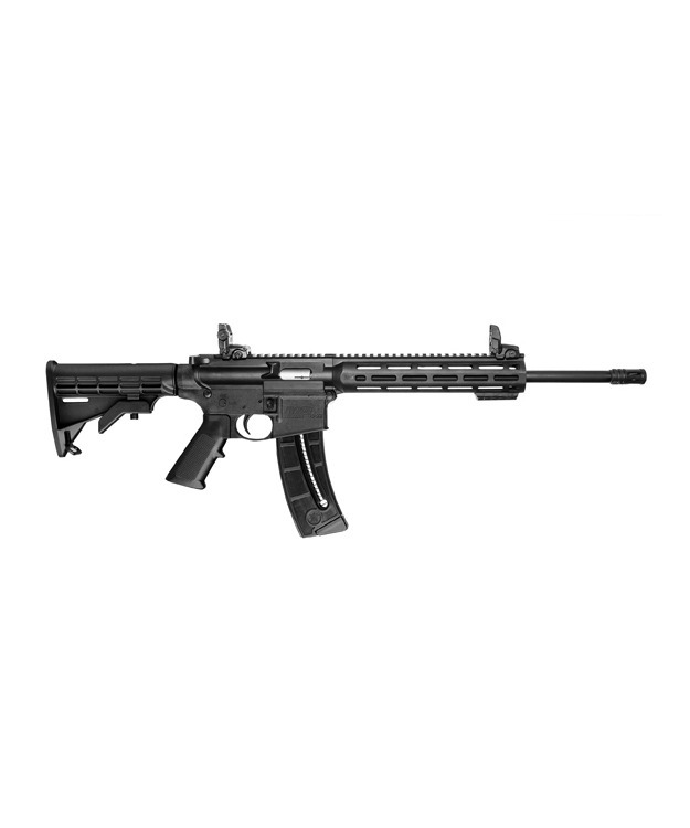 SMITH & WESSON M&P15-22 GEN2 SW-10208